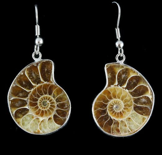 Fossil Ammonite Earrings - Million Years Old #48846